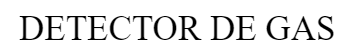 DETECTOR DE GAS