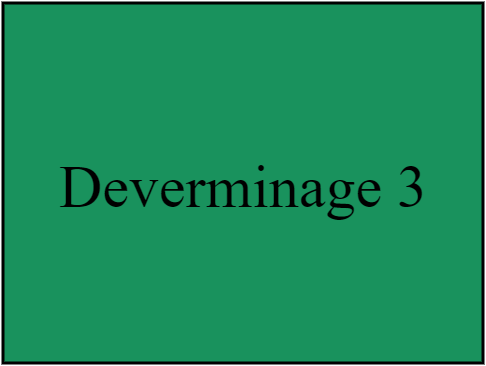Deverminage 3