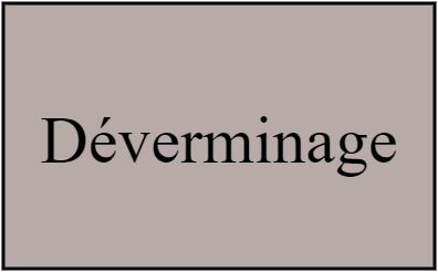 Déverminage