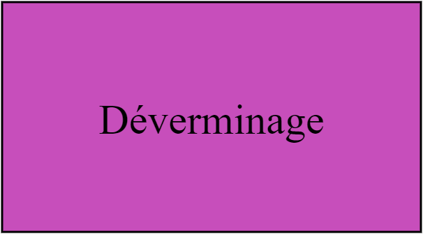 Déverminage