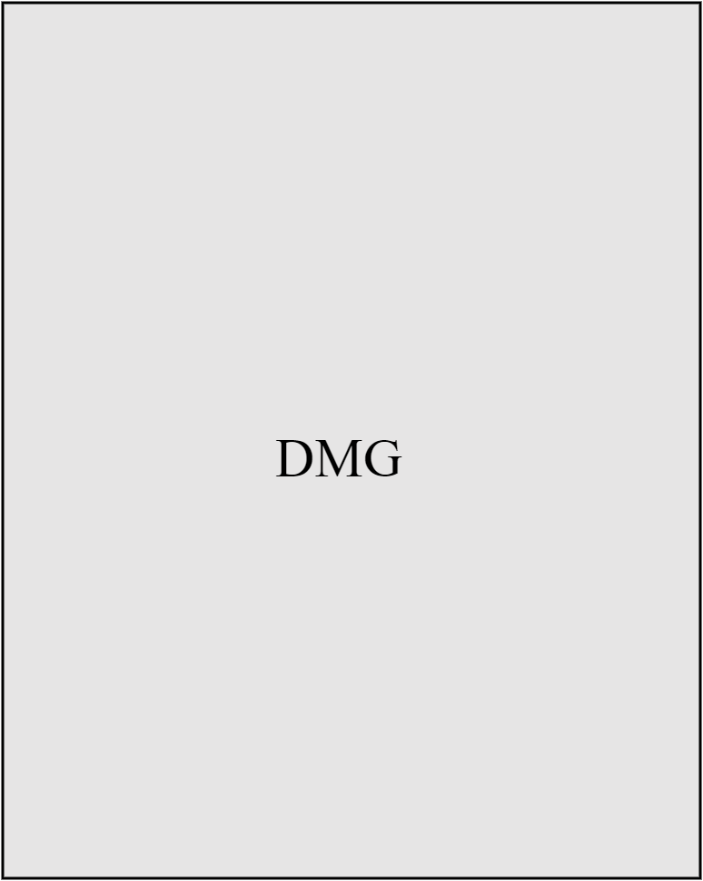 DMG 2