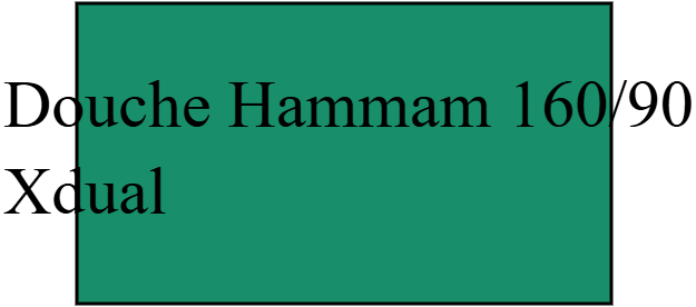 Douche 160 90