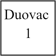 Duovac 1
