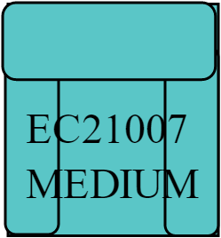 EC21007