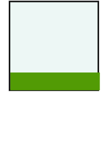 ECRAN
