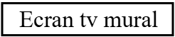 Ecran tv mural