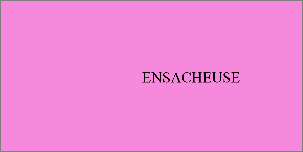 Ensacheuse