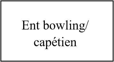 Entrée Bowling/capétien