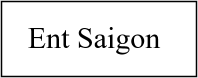 Entrée saigon