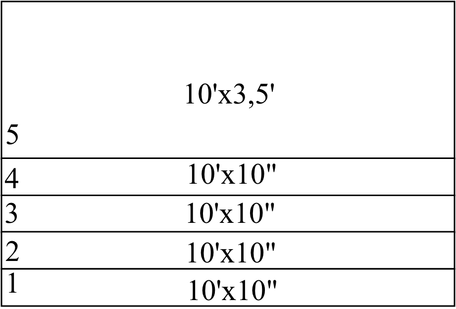 Escalier extérieur bois