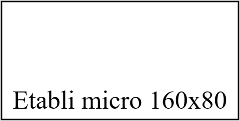 Etabli micro