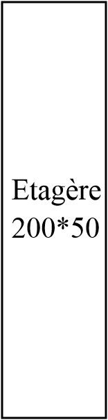 ETAGERE 200*50