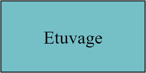 Etuvage