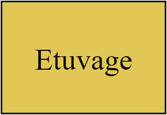 Etuvage