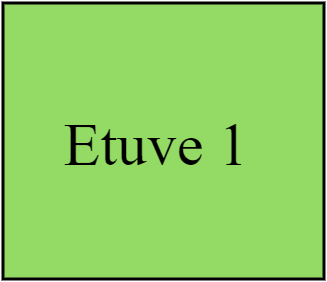 Etuve 1