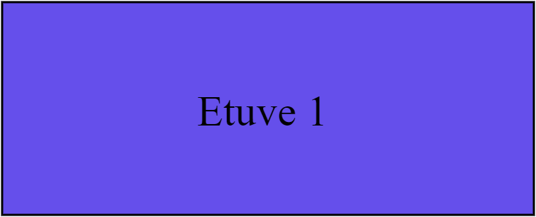 Etuve 1