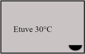 Etuve 35°C