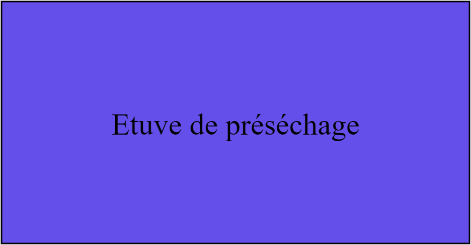 Etuve de préséchage