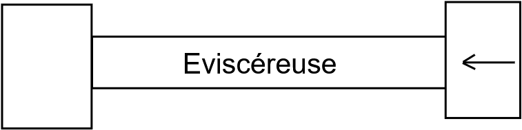 Eviscéreuse