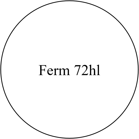 Ferm 72hl