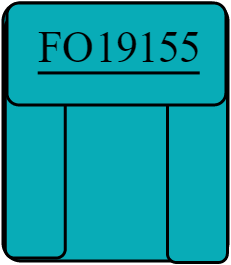 FO19155
