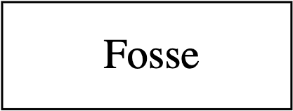 Fosse