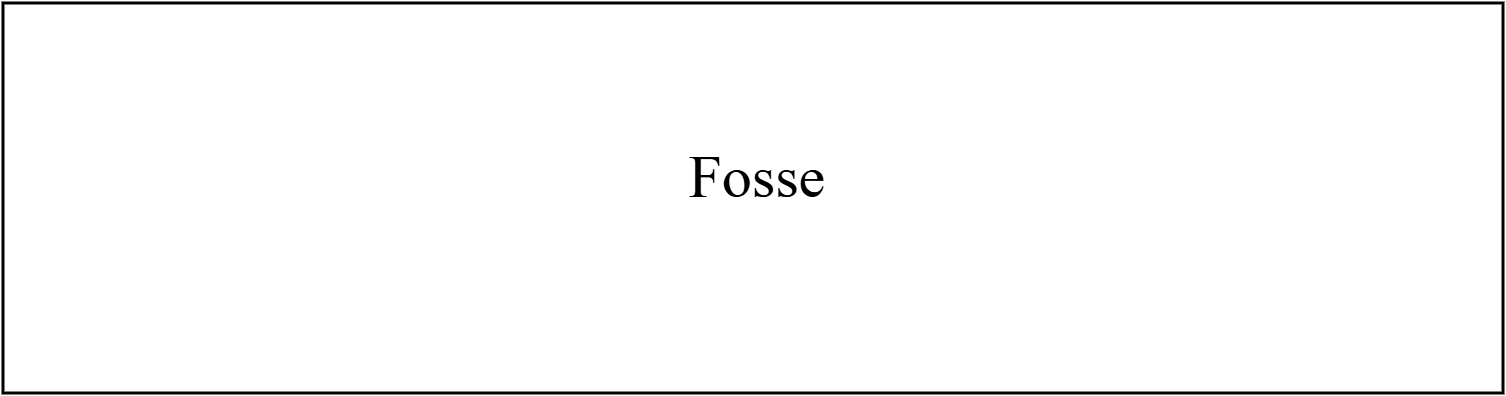 Fosse