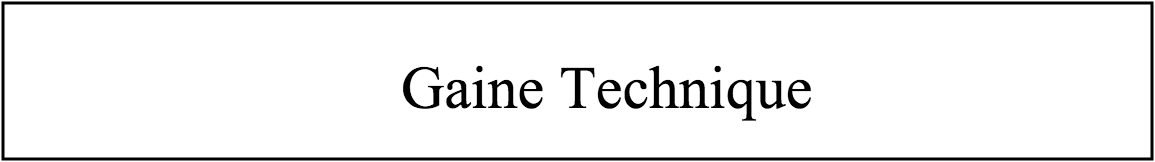 Gaine technique