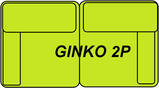 GINKO 2P