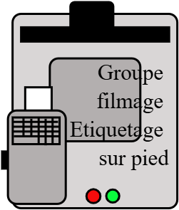 Groupe étiquetage filmage sur pied