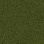 Herbe rase