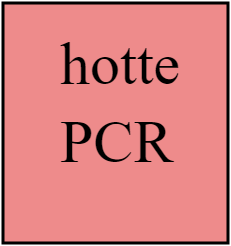 hotte PCR