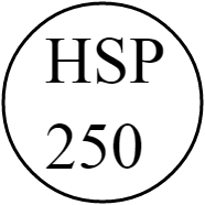 HSP