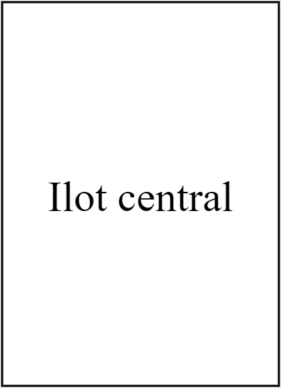 Ilot central
