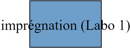 imprégnation (Labo 1)