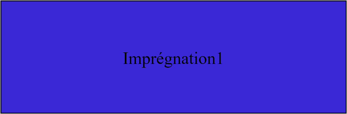 Imprégnation1