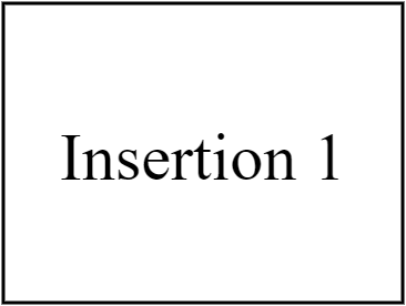 Insertion 1