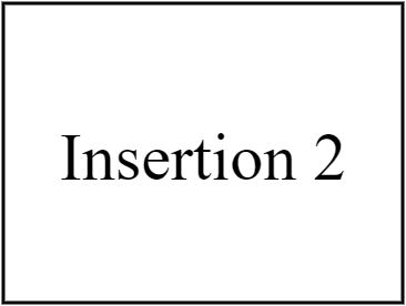 Insertion 2