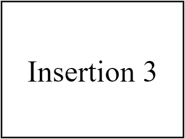 Insertion 3