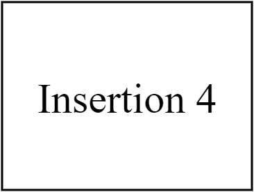 Insertion 4