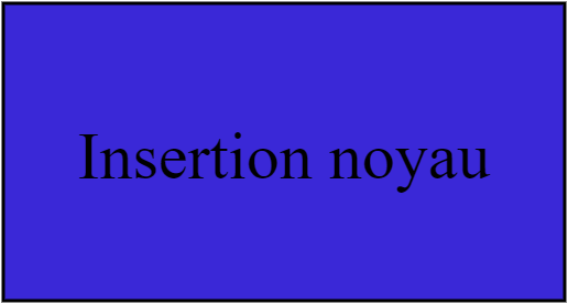 Insertion noyau