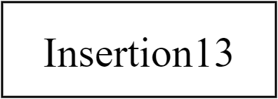 Insertion13