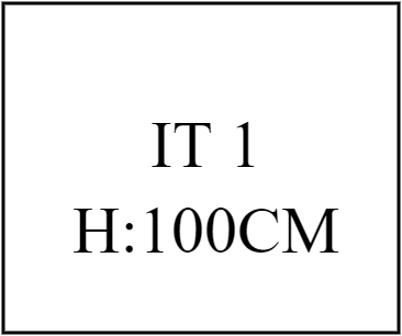 IT 1