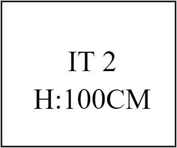 IT 2