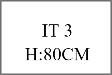 IT 3