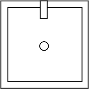 LAVAGE EXTERNE 100x100