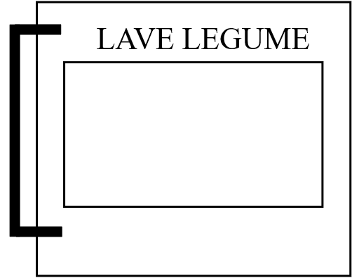 LAVE LEGUMES