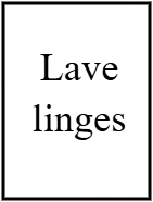 Lave linges