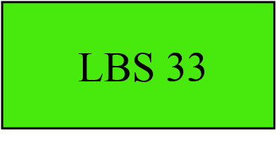 LBS 33