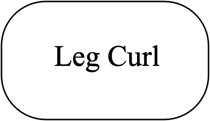 Leg Curl